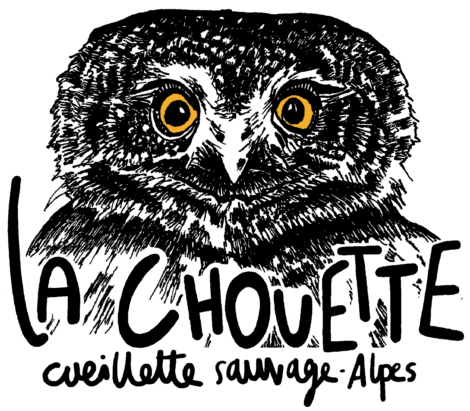 logo main